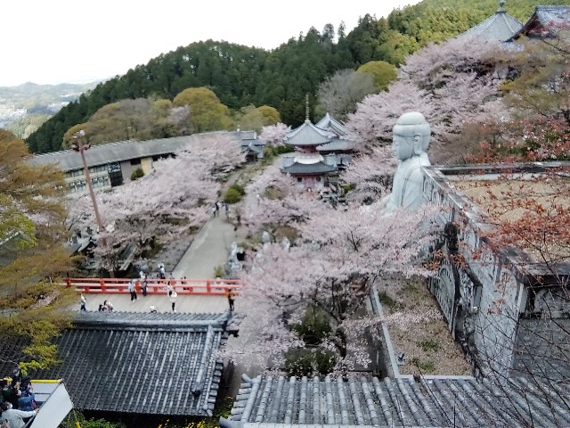 f:id:msokikaku:20230412165612j:image f:id:msokikaku:20230412165612j:image