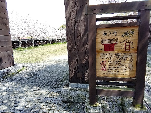 f:id:msokikaku:20230412170047j:image f:id:msokikaku:20230412170047j:image