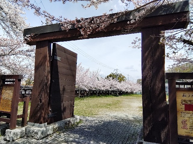 f:id:msokikaku:20230412170141j:image f:id:msokikaku:20230412170141j:image