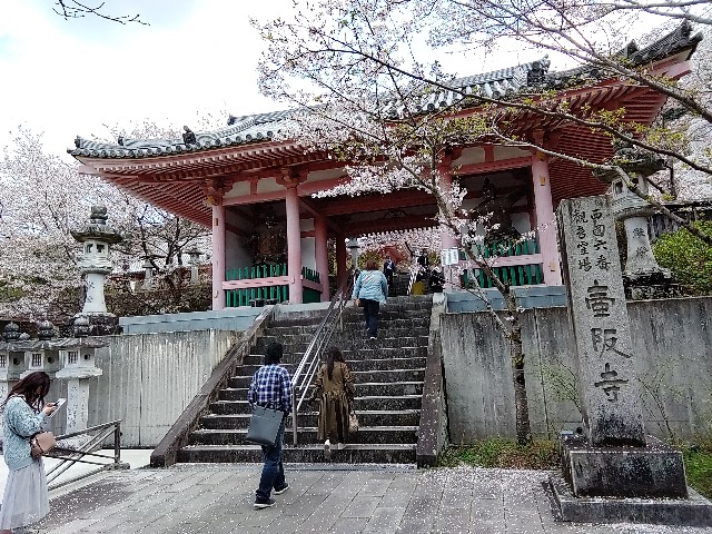 f:id:msokikaku:20230412171212j:image f:id:msokikaku:20230412171212j:image
