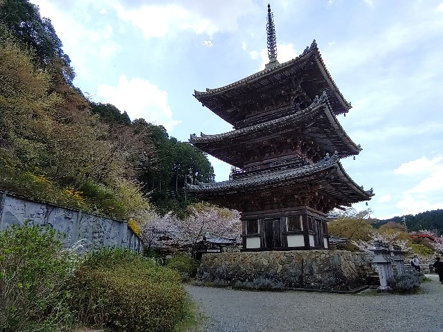 f:id:msokikaku:20230412171313j:image f:id:msokikaku:20230412171313j:image