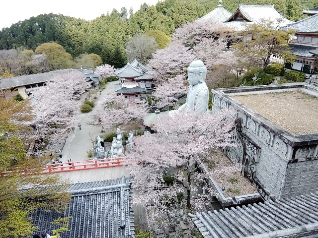 f:id:msokikaku:20230412171417j:image f:id:msokikaku:20230412171417j:image