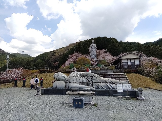 f:id:msokikaku:20230412171545j:image f:id:msokikaku:20230412171545j:image