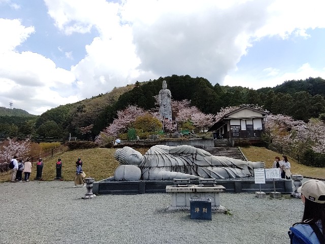 f:id:msokikaku:20230412171617j:image f:id:msokikaku:20230412171617j:image