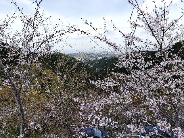 f:id:msokikaku:20230412171659j:image f:id:msokikaku:20230412171659j:image