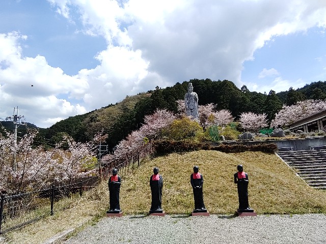 f:id:msokikaku:20230412171754j:image f:id:msokikaku:20230412171754j:image