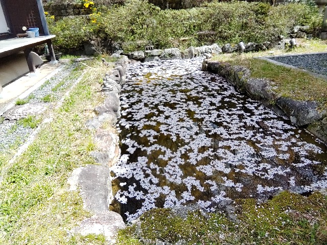 f:id:msokikaku:20230412171952j:image f:id:msokikaku:20230412171952j:image