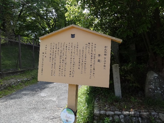 f:id:msokikaku:20230518080507j:image f:id:msokikaku:20230518080507j:image