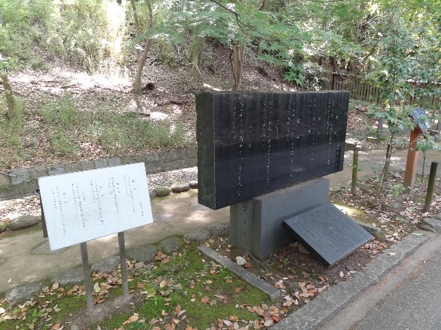 f:id:msokikaku:20230518080552j:image f:id:msokikaku:20230518080552j:image
