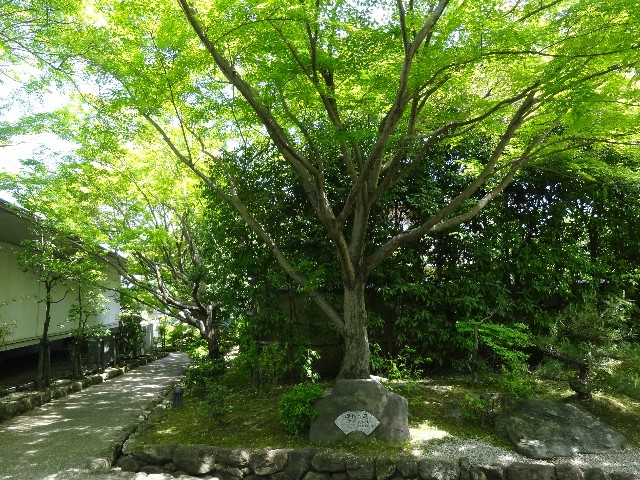 f:id:msokikaku:20230518081356j:image f:id:msokikaku:20230518081356j:image