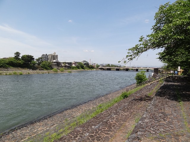 f:id:msokikaku:20230518081455j:image f:id:msokikaku:20230518081455j:image