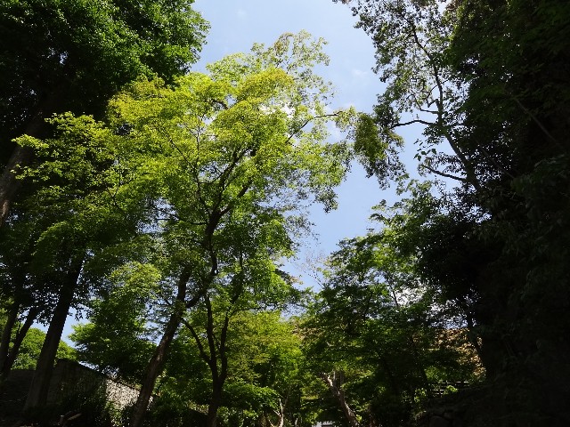 f:id:msokikaku:20230518081735j:image f:id:msokikaku:20230518081735j:image