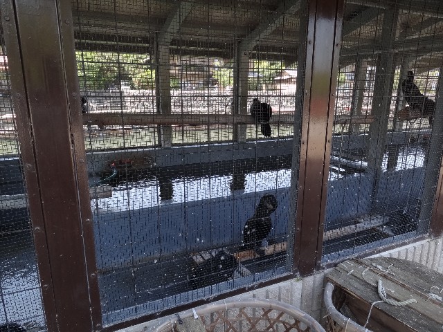 f:id:msokikaku:20230518082556j:image f:id:msokikaku:20230518082556j:image