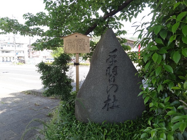 f:id:msokikaku:20230518082845j:image f:id:msokikaku:20230518082845j:image