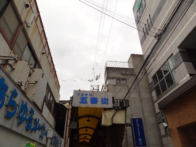 f:id:msokikaku:20230808105701j:image f:id:msokikaku:20230808105701j:image