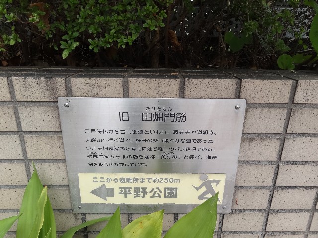 f:id:msokikaku:20230808110054j:image f:id:msokikaku:20230808110054j:image