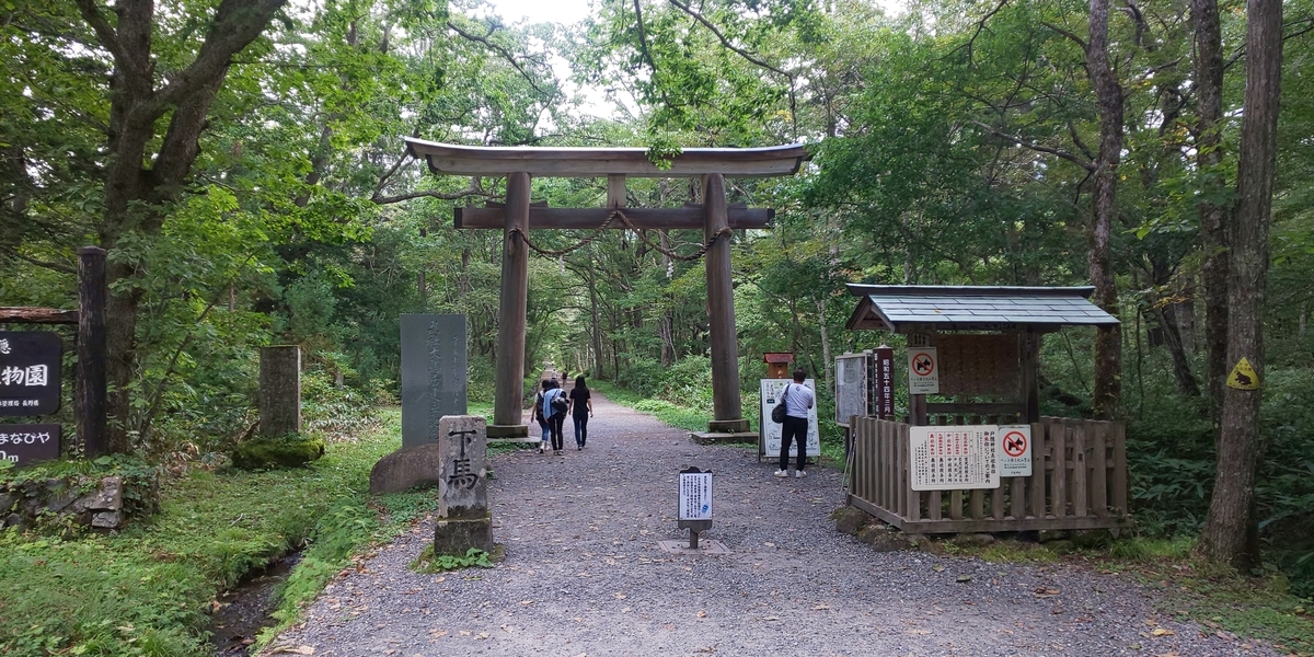 f:id:mstegetege:20191009143019j:plain f:id:mstegetege:20191009143019j:plain