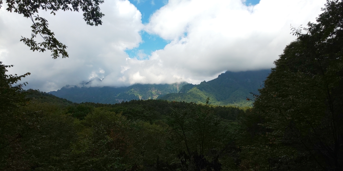 f:id:mstegetege:20191027075204j:plain f:id:mstegetege:20191027075204j:plain