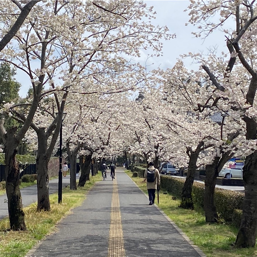 f:id:mstyle-tsukuba:20220401162623j:image