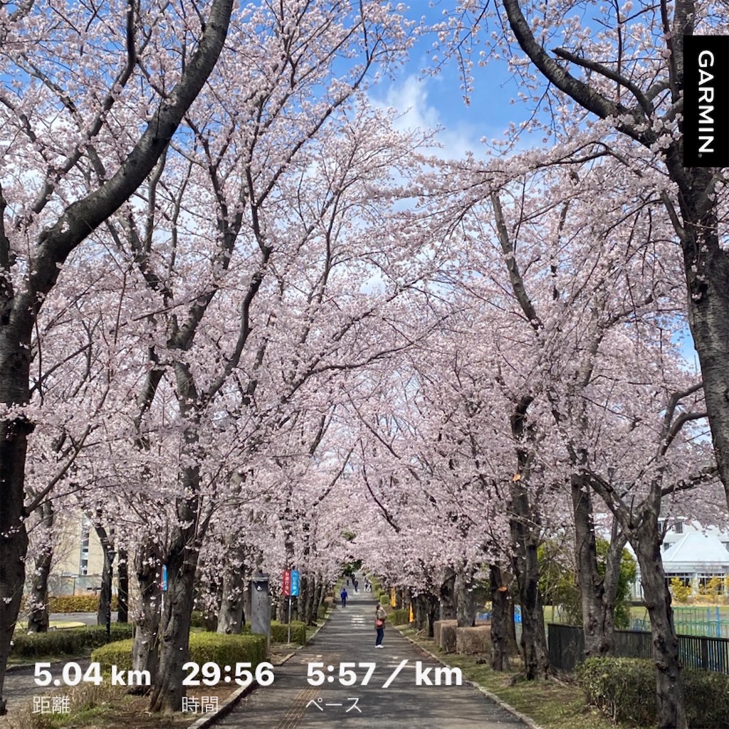 f:id:mstyle-tsukuba:20220401162626j:image