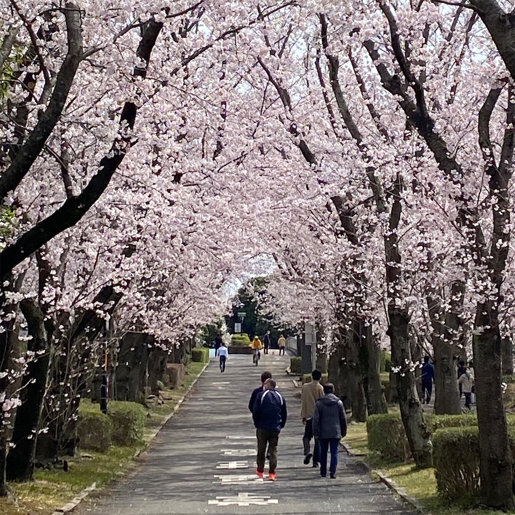 f:id:mstyle-tsukuba:20220401162629j:image