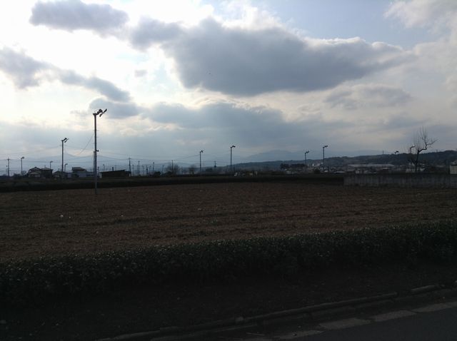 f:id:msugar20:20200725163211j:plain