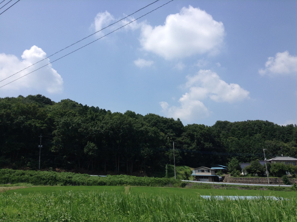 f:id:msugar20:20210617071042j:plain