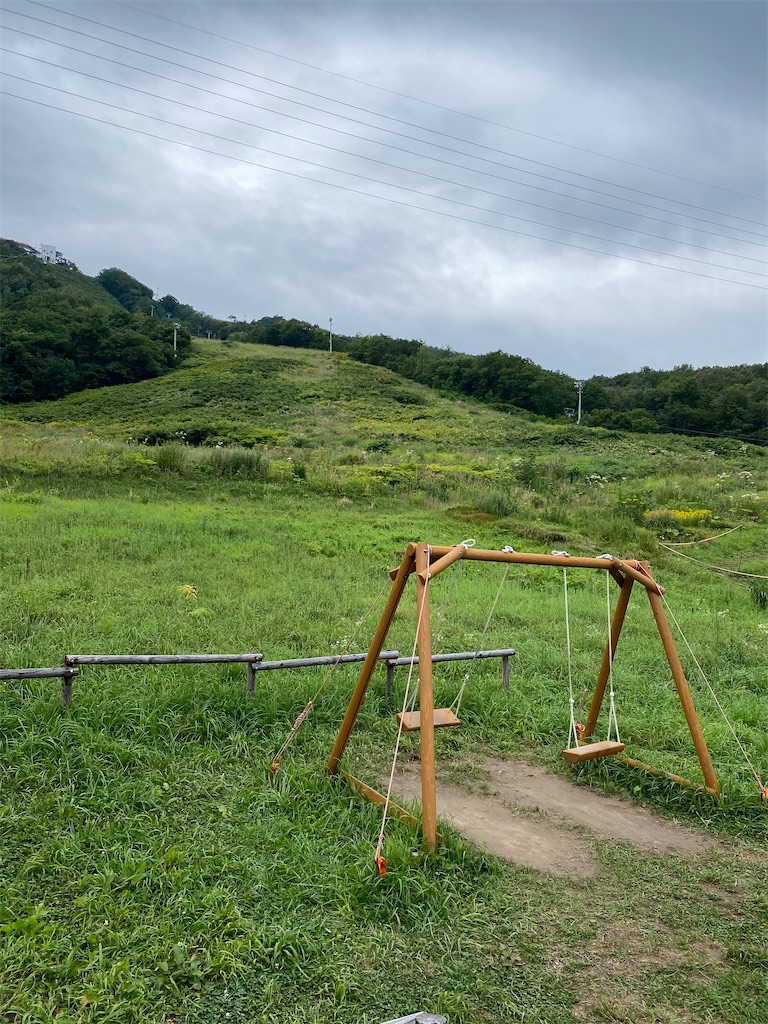 f:id:msugik-10:20250814165200j:image