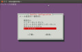 [Ubuntu12.04][mdadm][postfix][インストール]