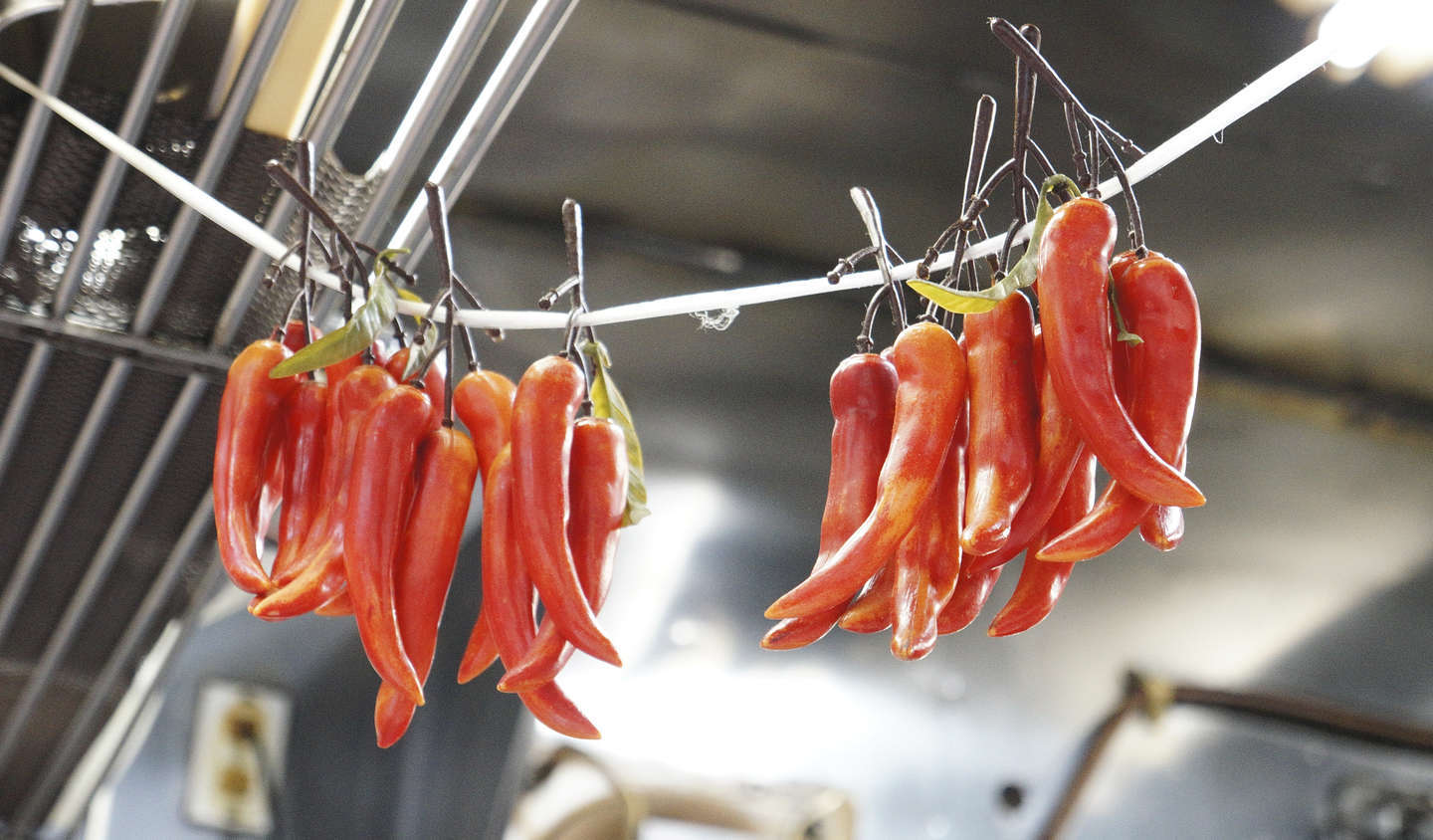 f:id:msutheki83:20180930175424j:plain