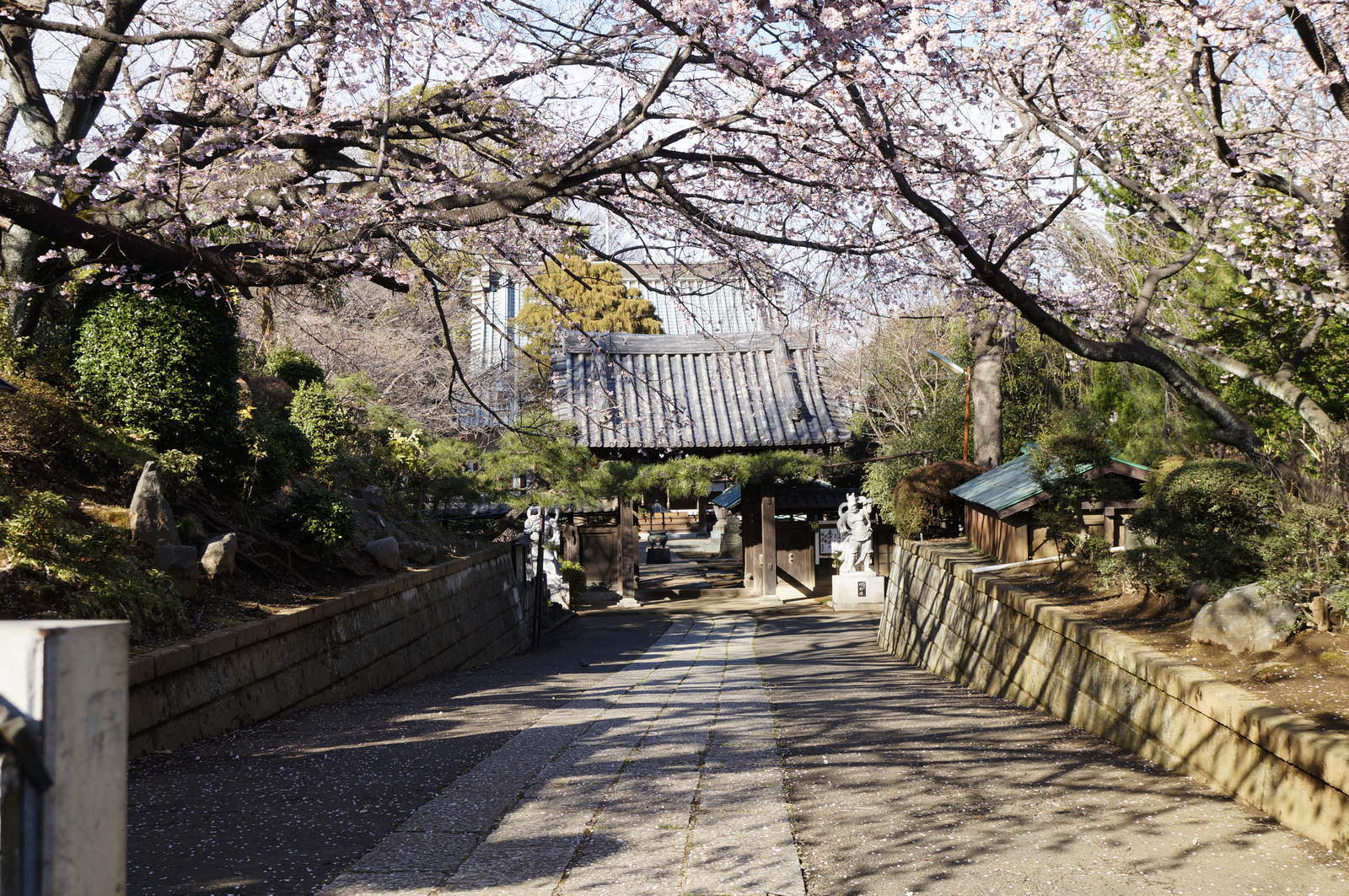 f:id:msutheki83:20190311152051j:plain f:id:msutheki83:20190311152051j:plain