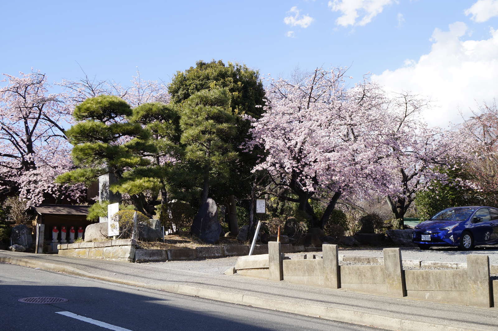 f:id:msutheki83:20190313142627j:plain f:id:msutheki83:20190313142627j:plain