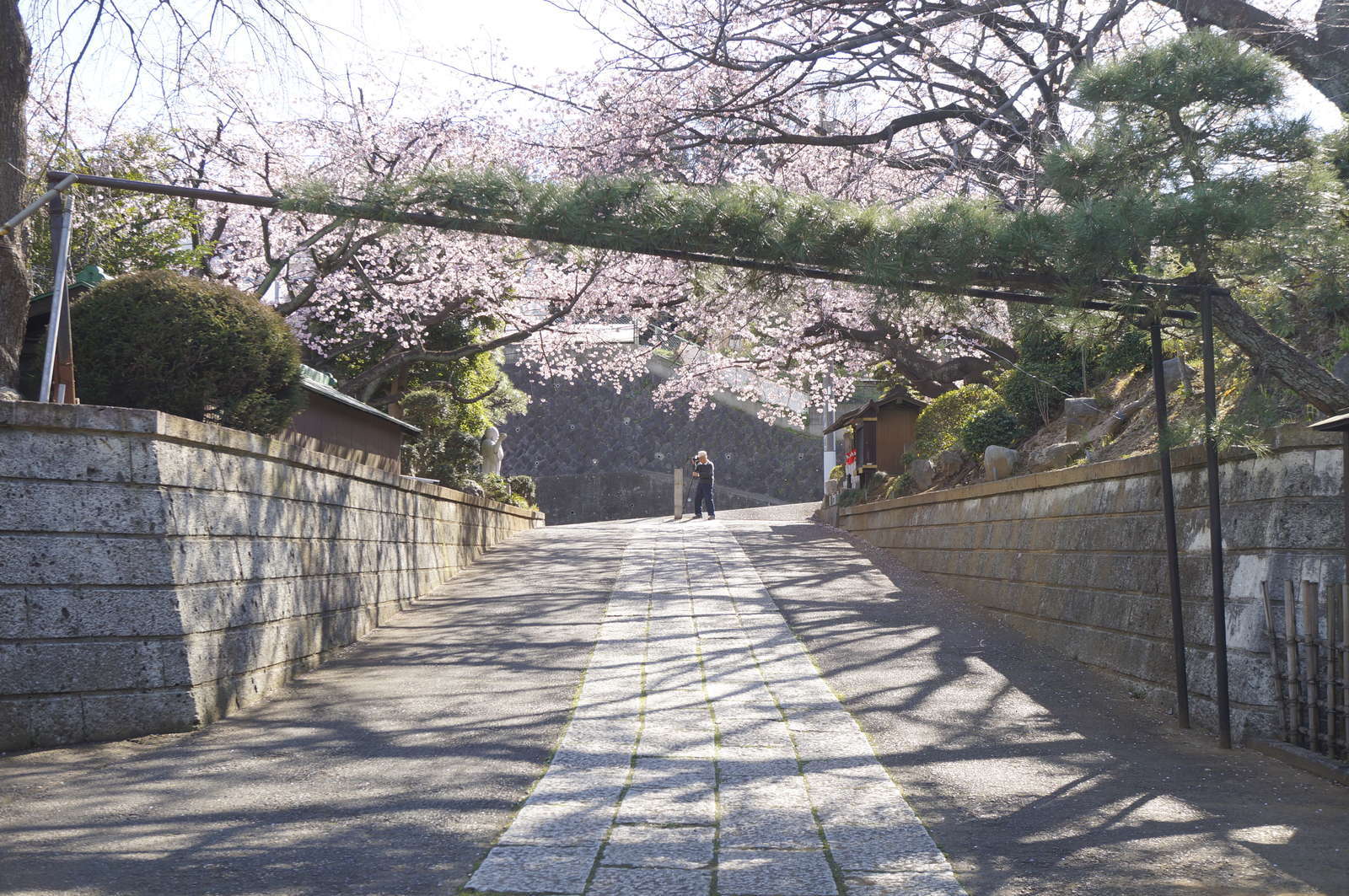 f:id:msutheki83:20190313142915j:plain f:id:msutheki83:20190313142915j:plain