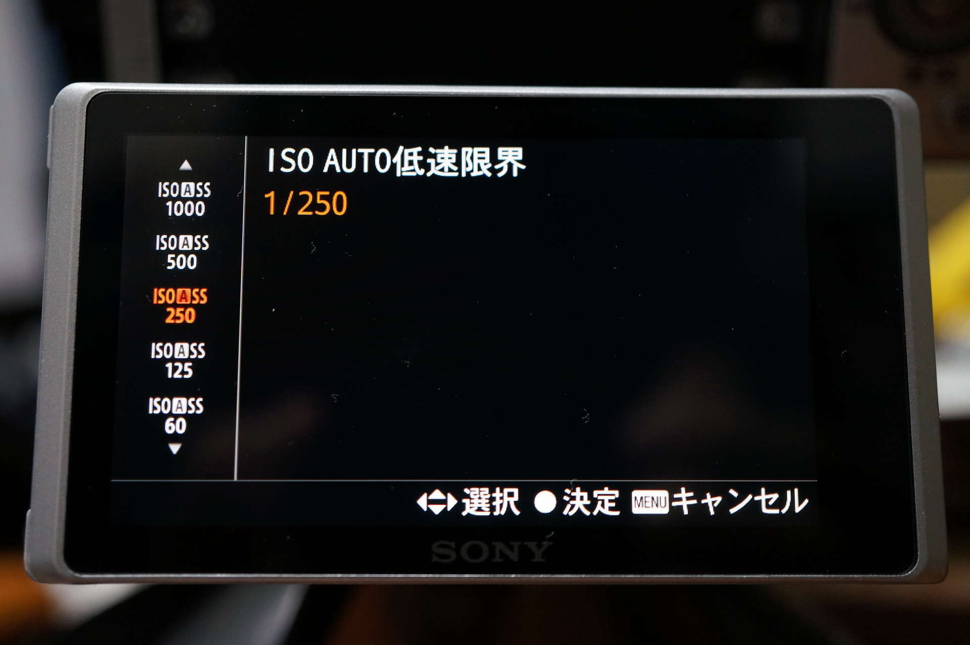 SONY α6400 実際に使ってみて。→個人的設定値まとめ。 - カメコ二郎