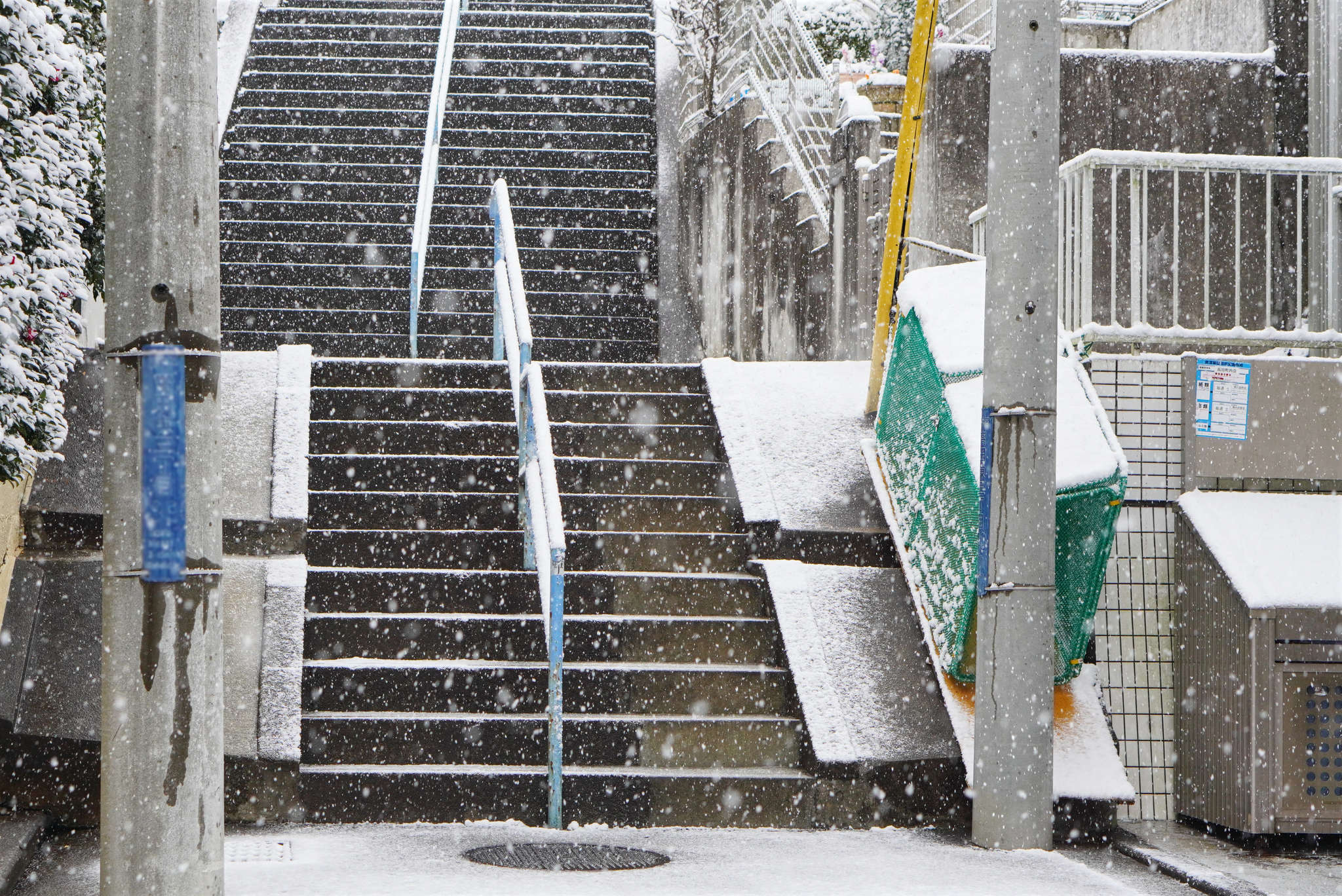 f:id:msutheki83:20220106144436j:plain
