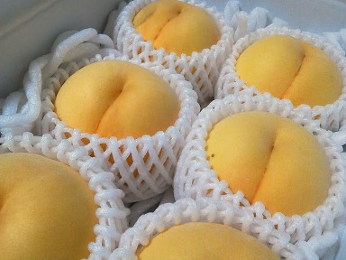 f:id:msuzuki_san:20110911234521j:image