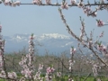 f:id:msuzuki_san:20120428104615j:image:medium