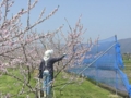 f:id:msuzuki_san:20120428104629j:image:medium
