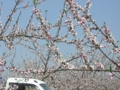 f:id:msuzuki_san:20120428132401j:image:medium