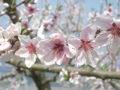 f:id:msuzuki_san:20120428132443j:image:medium