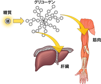 f:id:msx3:20161024193257p:plain f:id:msx3:20161024193257p:plain