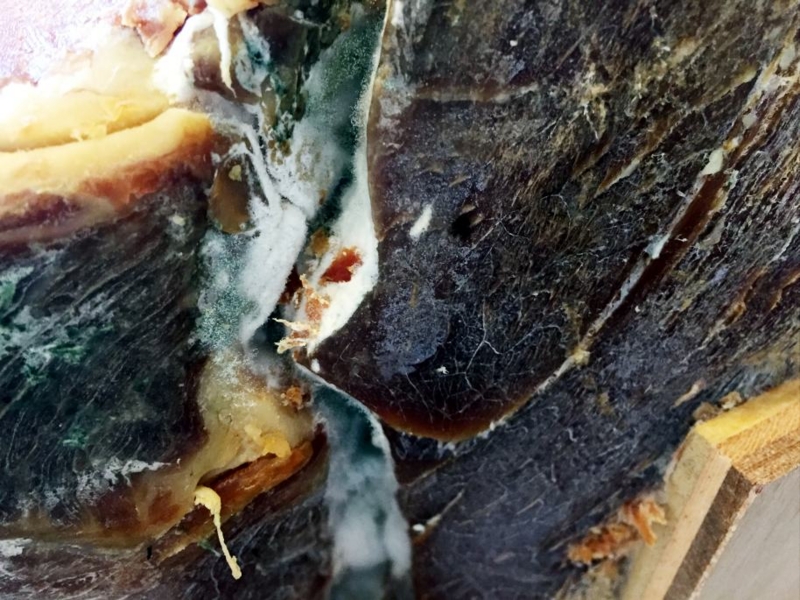 f:id:msx3:20170511100304j:plain