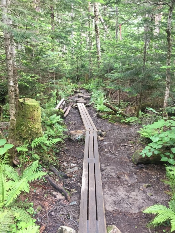 f:id:msx3:20170718081416j:plain