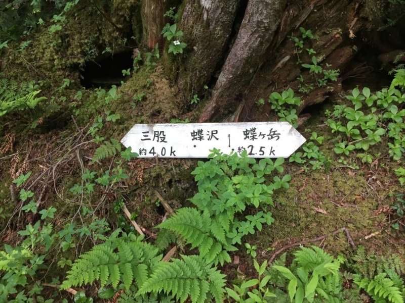 f:id:msx3:20170718083625j:plain