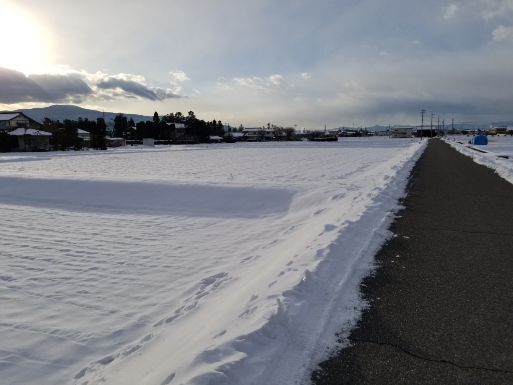 f:id:msx3:20180126080041j:plain f:id:msx3:20180126080041j:plain