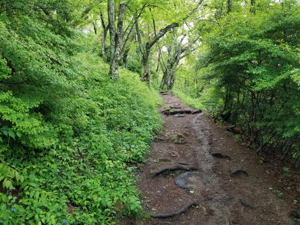 f:id:msx3:20180508081946j:plain f:id:msx3:20180508081946j:plain