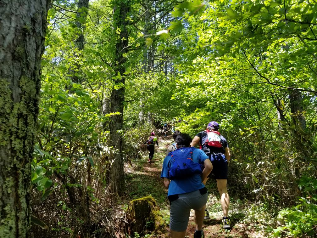 f:id:msx3:20180519112754j:plain