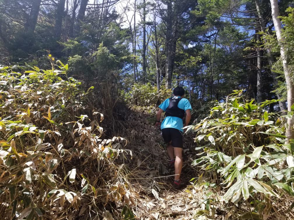 f:id:msx3:20180519122718j:plain