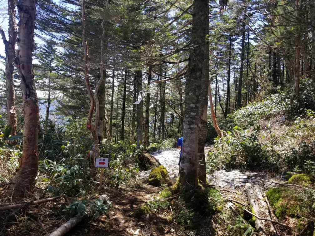 f:id:msx3:20180519123548j:plain