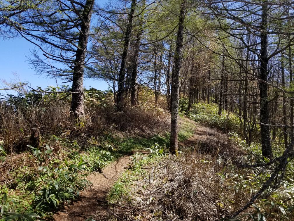 f:id:msx3:20180519130907j:plain